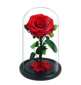 Newest Beauty Red Real Everlasting Flower Mother's Day Gift Box Forever Eternal Preserved Roses In Glass Dome