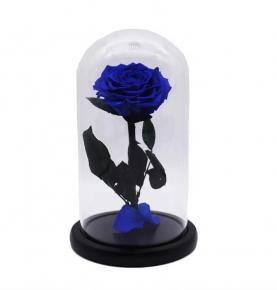 Wholesale Preserved Flower Home Wedding Decoration Blue Long Lasting Flowers Eternal Roses In Dome Glass