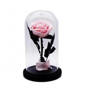 High Quality Forever Pink Preserved Roses In Glass Dome Everlasting Flowers Infinity Rose For Thanksgiving Gift