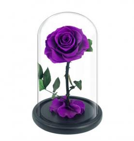Luxurious Purple Eternal Roses Preserved Rose In Glass Dome With Gift Box For Valentine's Day gift