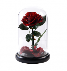 Custom Burgundy Infinity Rose Preserved Rose Flower Christmas Gift In Glass Dome With Led Light