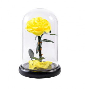 100% Natural Eternity Yellow Preserved Roses With Real Stem In Glass Dome For Women Birthday Gift