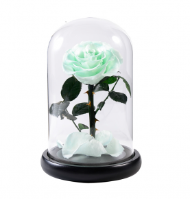 Promotional Mint Green Everlasting Roses Preserved Fresh Flower In Glass Dome For Party Decoration