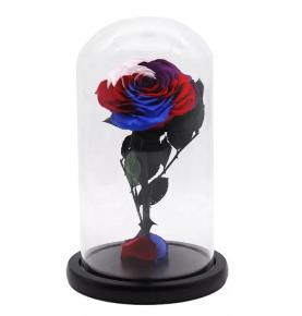 Professinonal Multicolored Red Blue Lifetime Love Longlasting Forever Preserved Rose In Glass Dome