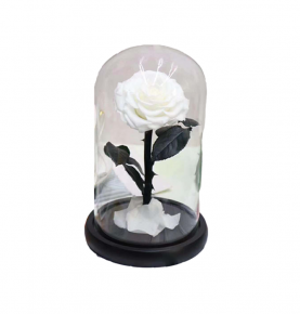 Customized White Preserved Rose Flower Led Rose Fresh Forever Real Roses In Glass Dome For Wedding