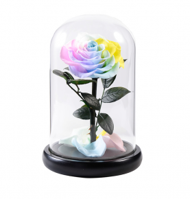 Mixed Color Preserved Flowers In Glass Dome Immortal Eternal Rose Valentine's Day Mother's Day Birthday Gift Home Decoration