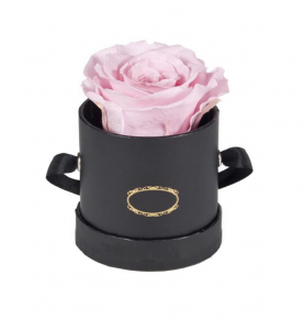 High Grade Pink Infinity Rose Forever Flowers Preserved Roses In Round Flower Gift Box