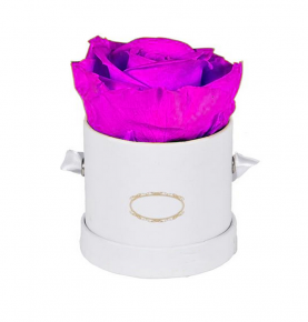Best Seller Decoration Purple Infinity Rose A grade Preserved Roses In Gift Box for Valentine Gifts