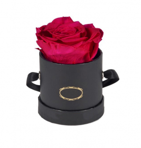 New Idea Anniversary Gifts Infinity Rose Flower Stabilized Red Preserved Roses In Gift Box