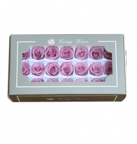 China Infinity Rose Dried Light Purple Rose Preserved Flowers Bud For Special Day Gift