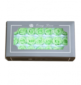 2-3 CM Green Eternal Flowers Long Lasting Preserved Forever Real Touch Roses In Paper Box