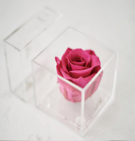 Factory Acrylic Clear Single Everlasting Flower Box Infinity Rose Display Gift Box