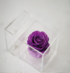 Real Touch Waterproof Luxury Clear Acrylic Storage Single Flower Preserved Rose Box 