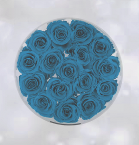 Waterproof Acrylic Boxes With 16 Holes Preserved Roses In Acrylic Box Round Cover For Flower Show Case
