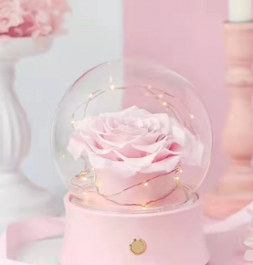 Pink Preserved Flowers Infinity Rose Music Box in Glass Cover for Wedding Valentine's Day Gifts 