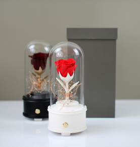 Creative Single Rose Eternal Flower Glass Cover Night Light Music Gift Box