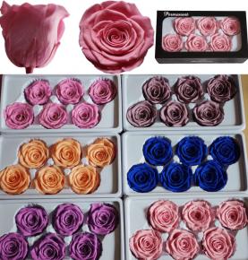 Wholesale Real Touch 5-6cm Preserved Rose Eternal Flowers For Luxury Gifts Item