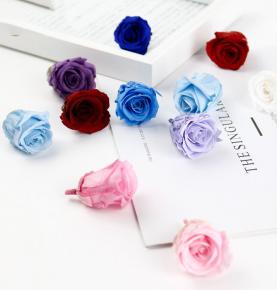 Small Real Preserved Roses Flower Eternal Flowers Bouquet 3-4cm Rose Head