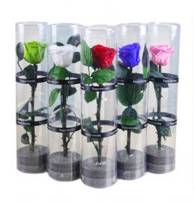  Natural Real Preserved Roses Long Stem Eternal Roses For Mother's Day 
