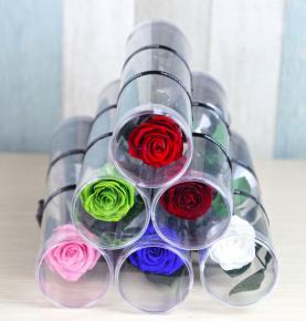 Long Stem Preserved Roses Custom Colors Single Roses For Valentine's Day Gifts
