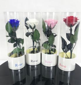 Top Seller A Grade Real Preserved Roses With Long Rose Stem Eternal Rose For Valentines Day Gift