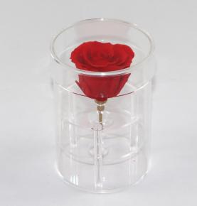 Wedding Valentine Gift Eternal Preserved Flowers Display Clear Box Rose In Round Acrylic Box
