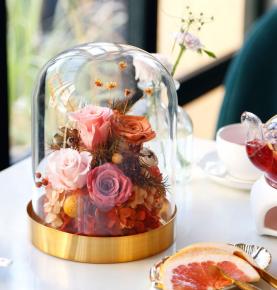 Infinity Rose Immortal Glass Dome Rose Preserved Flower Beauty And The Beast Rose In Glass 