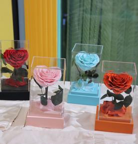 Acrylic Box Hearted Shape Eternal A Grade Preserved Flowers Roses With Wooden Base For Valentine Gifts 