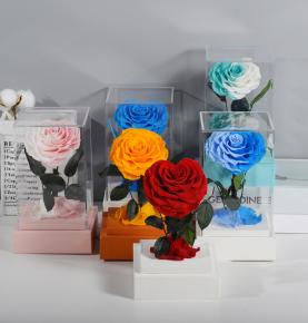 Heart Shape Gradient Preserved Roses In Acrylic Box With Base For Valentine Wedding Mother Gifts