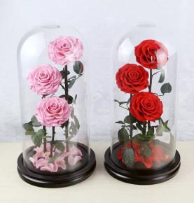 15*30cm Preserved Everlasting Rose Flowers In Glass Dome  Valentines Day Gifts Eterna Rosa Conservata