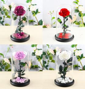 15*30cm Single Red Forever Rose In Glass Dome Thanksgiving Gifts Immortal Enchanted Rose
