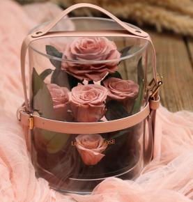 Natural Mini Eternal Forever Preserved Rose With Long Stems In Acrylic Flower Box Valentines Gifts