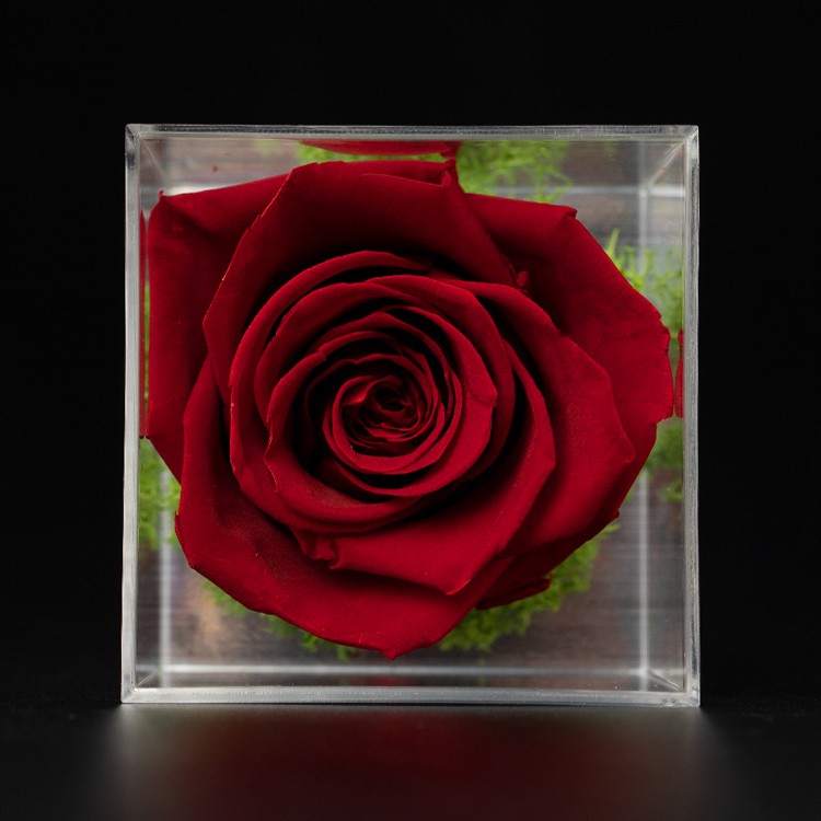 Eternal Single Acrylic Rose Box Wedding Home Decoration Handicraft  Forever Flower Preserved Roses