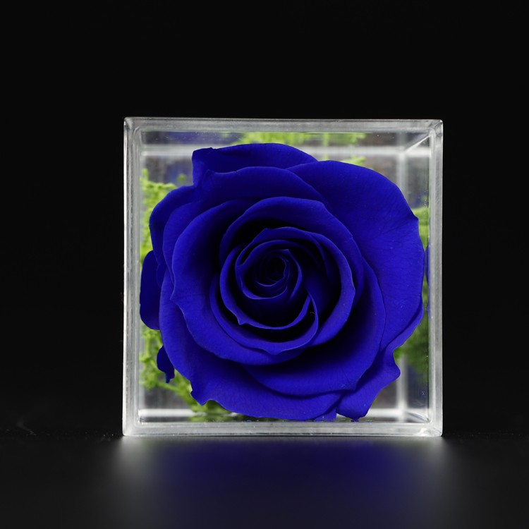 Eternal Single Acrylic Rose Box Wedding Home Decoration Handicraft  Forever Flower Preserved Roses