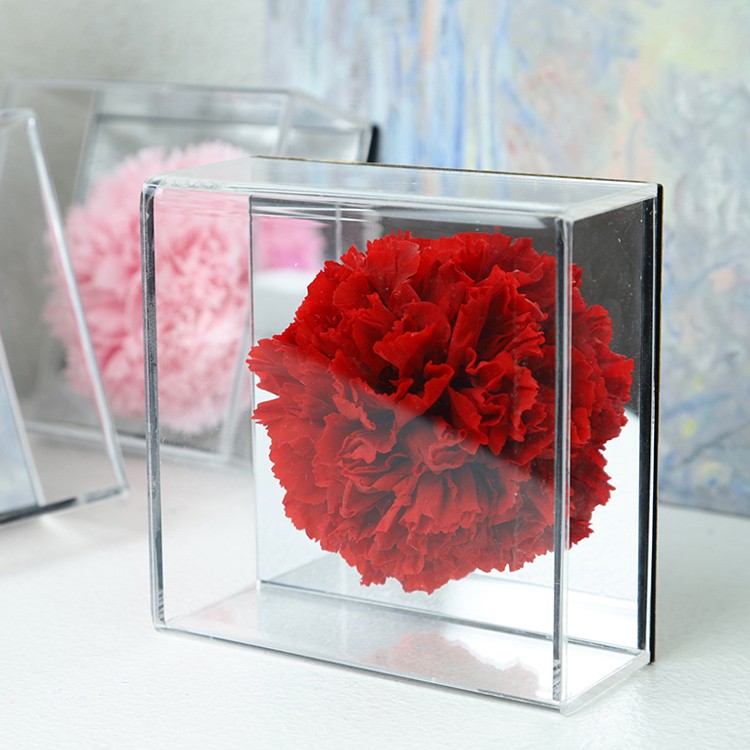 Newest Flower Dried Eternal Forever Carnation Preserved Roses In Acylic Box For Mothers Day Gift 