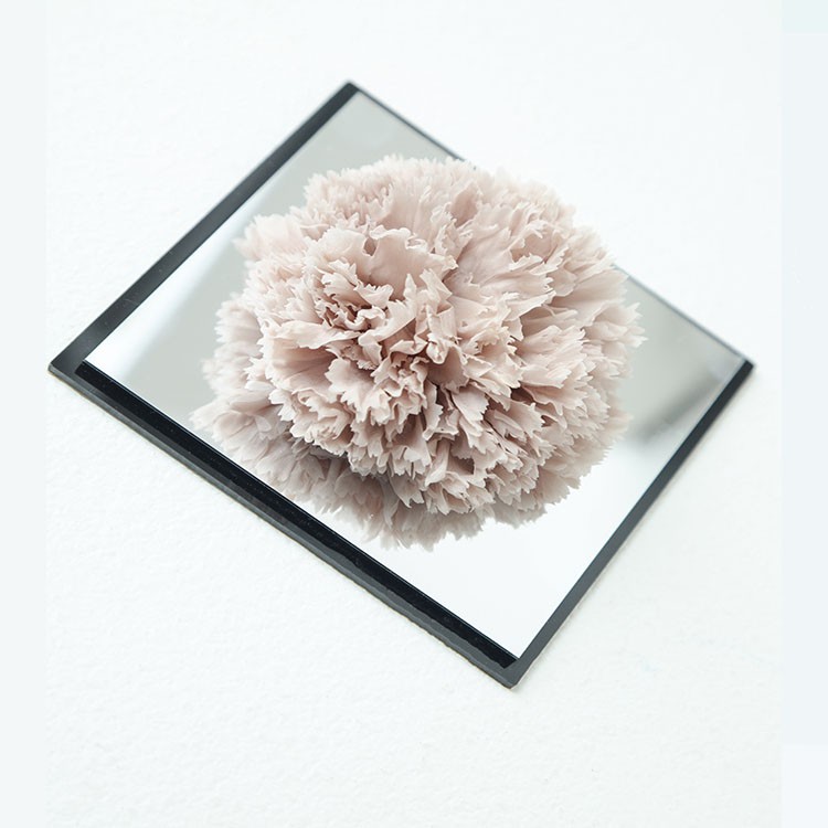Newest Flower Dried Eternal Forever Carnation Preserved Roses In Acylic Box For Mothers Day Gift 