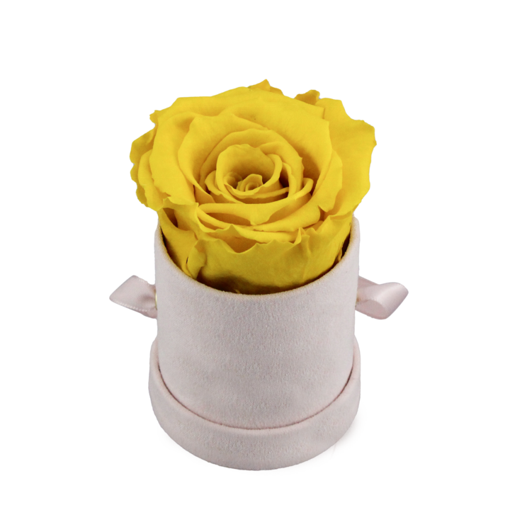 Custom Velvet Luxury Gift Round Floral Boxes Packaging Florist Flower Box 