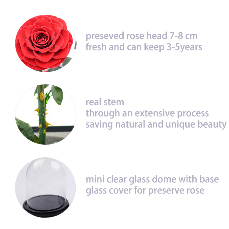 details for preseved flower in glass dome.png