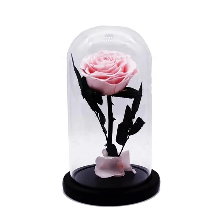 Preserved <a href=https://tsmpreservedflower.com/Preserved-Rose-Head.html target='_blank'>roses</a>, Eternal Roses, Preserved Roses In Glass Dome 4.jpg