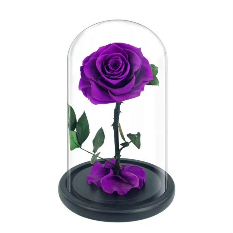 Preserved Roses, Eternal Roses, Preserved Roses In Glass Dome 9.jpg