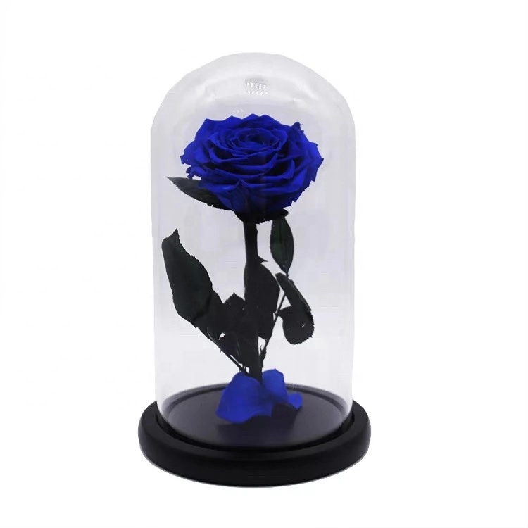 Preserved Roses, Eternal Roses, Preserved Roses In Glass Dome 5.jpg