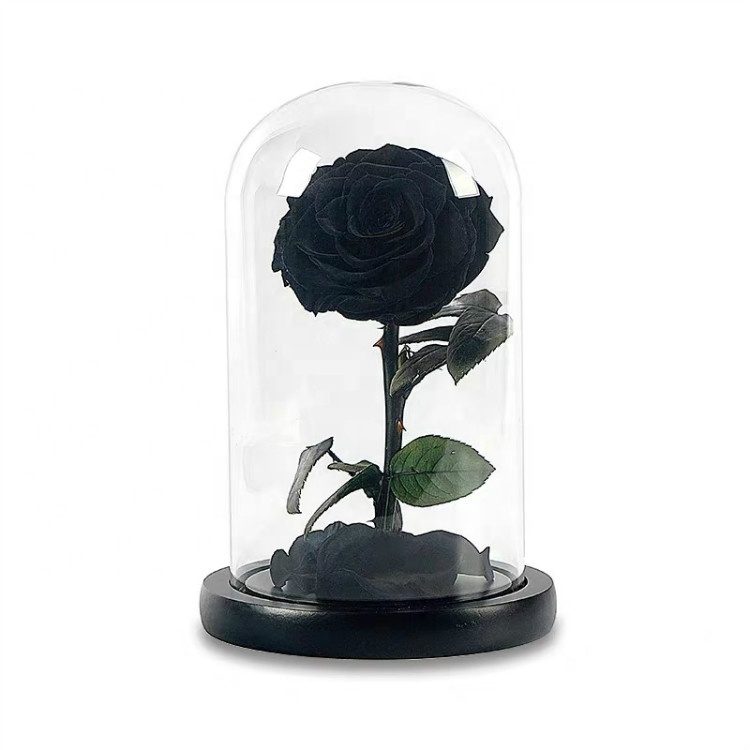 Preserved Roses, Eternal Roses, Preserved Roses In Glass Dome 7.jpg