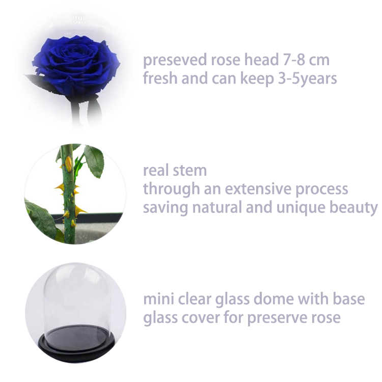 details for blue preseved flower in glass dome.png