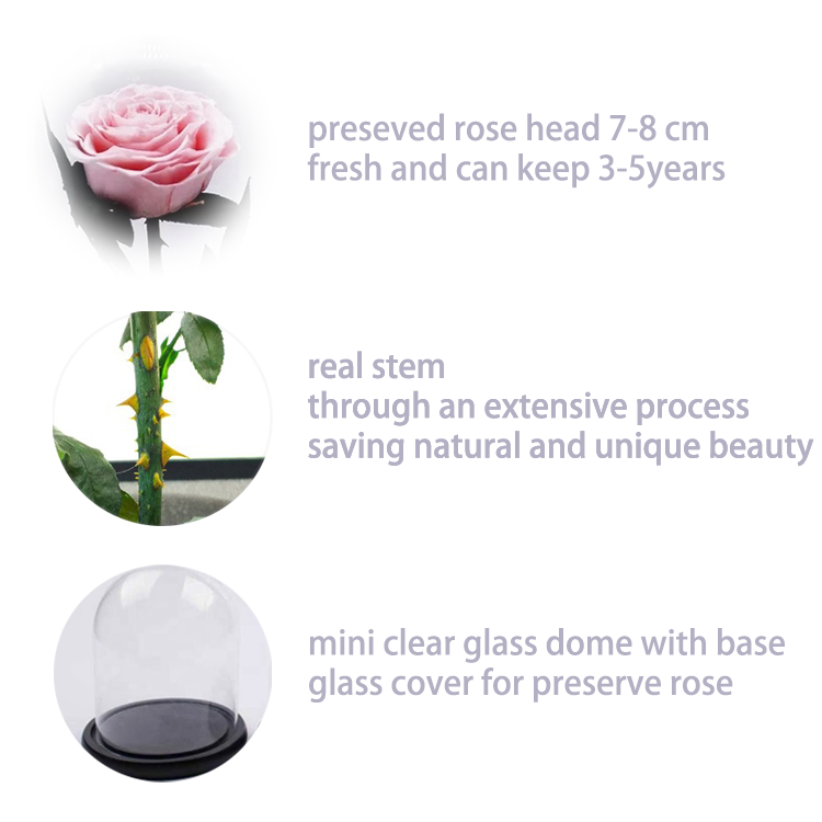 details for pink preseved flower in glass dome.png