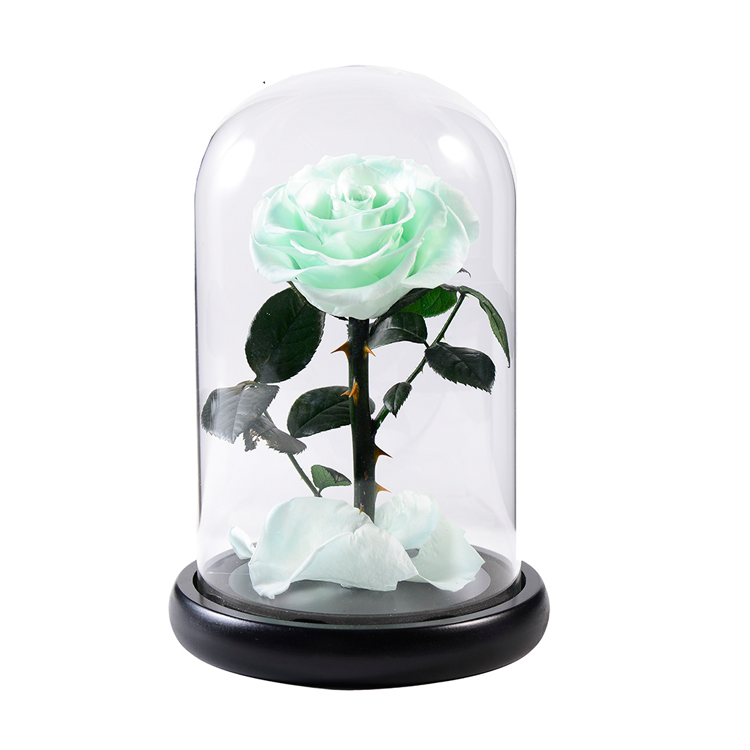 Preserved Rose In Glass Dome,light green infinity rose,everlasting <a href=https://tsmpreservedflower.com/Preserved-Rose-Head.html target='_blank'>flowers</a>.png