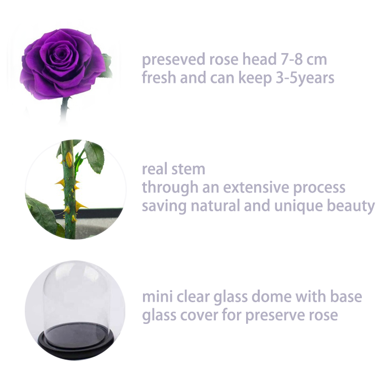 details for purple preseved flower in glass dome.png