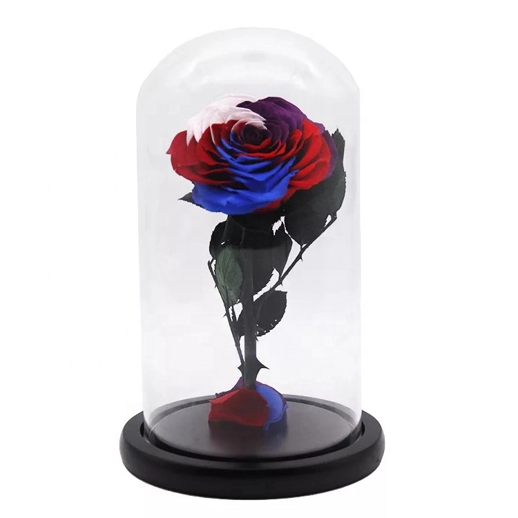 Preserved <a href=https://tsmpreservedflower.com/Preserved-Rose-Head.html target='_blank'>roses</a>, Eternal Roses, Preserved Roses In Glass Dome 3.jpg
