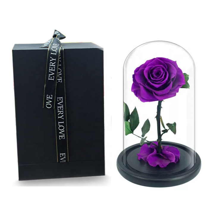 Preserved Rose In Glass Dome,purple infinity rose,everlasting <a href=https://tsmpreservedflower.com/Preserved-Rose-Head.html target='_blank'>flowers</a>.png