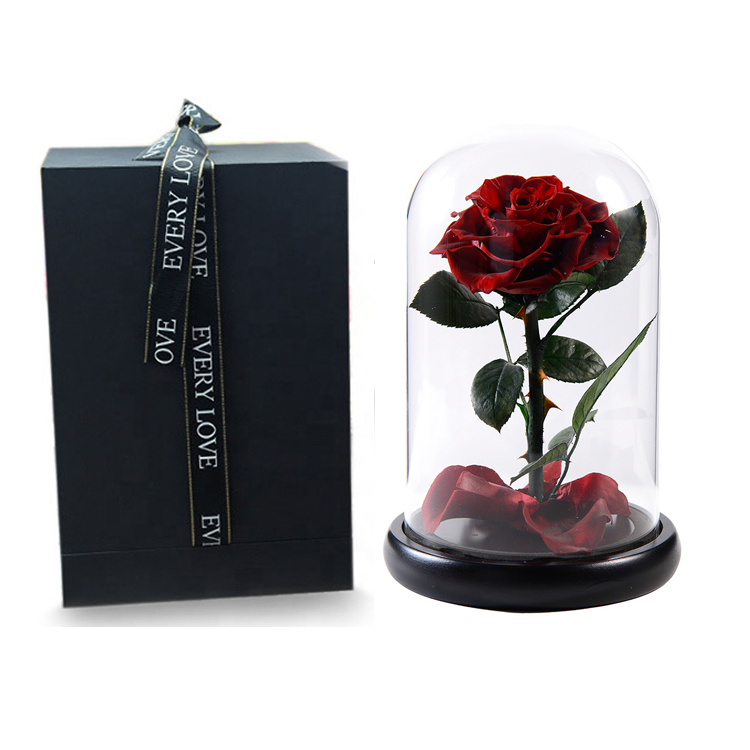 Preserved Rose In Glass Dome,Burgundy infinity rose,everlasting <a href=https://tsmpreservedflower.com/Preserved-Rose-Head.html target='_blank'>flowers</a> 2.png