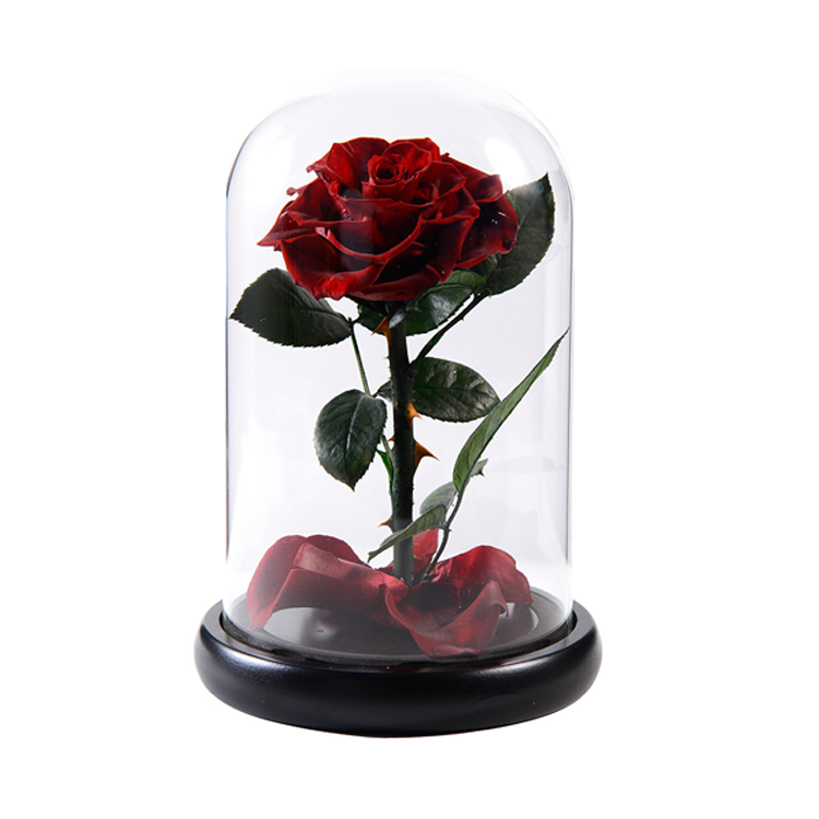 Preserved Rose In Glass Dome,Burgundy infinity rose,everlasting <a href=https://tsmpreservedflower.com/Preserved-Rose-Head.html target='_blank'>flowers</a> 1.png